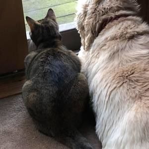 Meet your Posher, Roberta